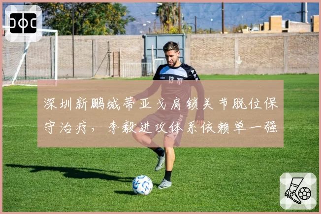 深圳新鹏城蒂亚戈肩锁关节脱位保守治疗，李毅进攻体系依赖单一强点风险几何？