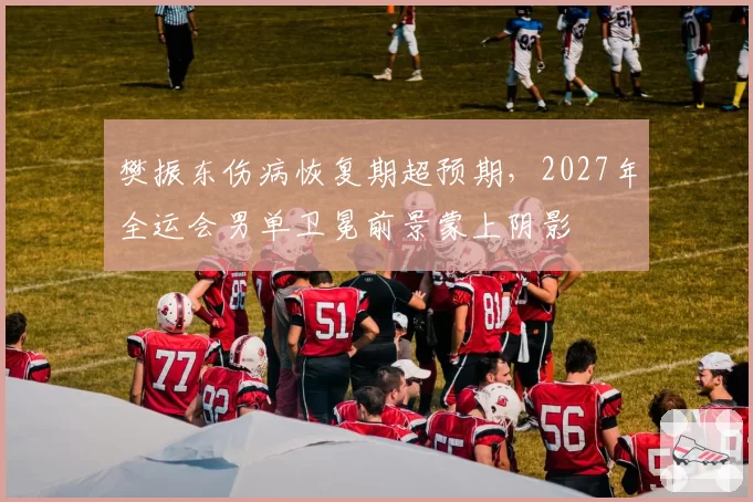樊振东伤病恢复期超预期，2027年全运会男单卫冕前景蒙上阴影