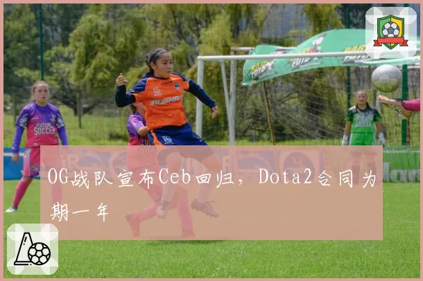 OG战队宣布Ceb回归，Dota2合同为期一年