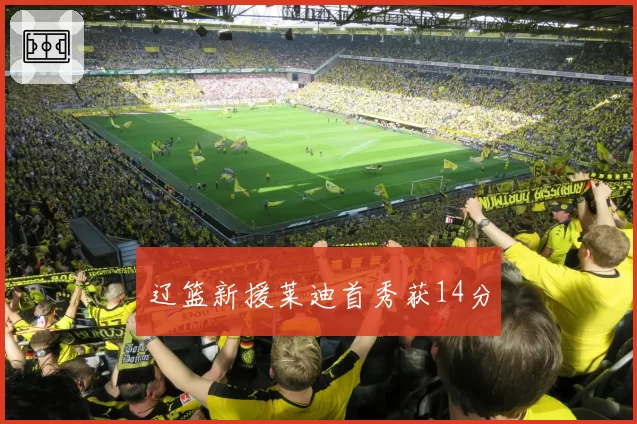 辽篮新援莱迪首秀获14分